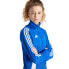 Фото #11 товара adidas Tiro 24 Training W sweatshirt IR7494