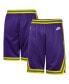 ფოტო #1 პროდუქტის Nba Big Boys and Girls Purple Utah Jazz Classic Edition Swingman Shorts