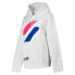 SUPERDRY Code Logo CHE OS hoodie