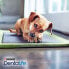 Фото #7 товара PURINA Dentalife 207g dog supplement