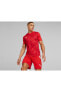 Teamultimate Jersey Erkek Futbol Maç Forması 70537101 Kırmızı