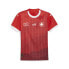 Фото #2 товара Puma Sfv Wwc Crew Neck Short Sleeve Home Soccer Jersey Replica Womens Red 77371