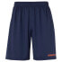 Фото #1 товара UHLSPORT Basic Shorts