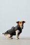 Faux shearling dog raincoat
