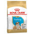 ROYAL 12kg dog food for puppy bulldog