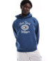 Фото #1 товара Tommy Hilfiger Embroidery Hoody in Blue