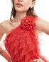 Фото #4 товара Anaya waterfall ruffle premium tulle maxi dress in red