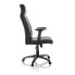 Home Office Chefsessel PROVIDO I