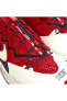 Фото #7 товара Кроссовки Nike Zm Pegasus 36 Tr / Gyakusou Мужские Красные CD0383-600 Limited Edition