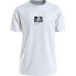 Фото #1 товара CALVIN KLEIN JEANS Landscape Box Bagraphic short sleeve T-shirt