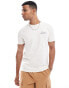 Hollister relaxed fit t-shirt wih scenic back print in cream