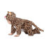 Costume for Babies My Other Me Leopard (4 Pieces)