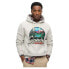 Фото #1 товара SUPERDRY Travel Postcard Graphic hoodie