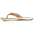 Фото #3 товара Sperry Seafish Coral Floral Flip Flops Womens Brown Casual Sandals STS87294