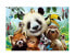 Фото #1 товара Puzzle Zoo Selfie 500 Teile