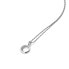 Luxury silver necklace with diamond Celestial DP859 (chain, pendant)