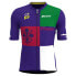 Фото #1 товара SANTINI Firenze Tour De France Official 2024 Short Sleeve Jersey
