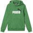 PUMA Ess+ 2 Col Big Logo hoodie