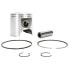 Фото #1 товара WSM Sea-Doo 650 STD 010-816K Piston Kit