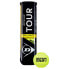 Фото #2 товара DUNLOP Tour Brilliance Tennis Balls