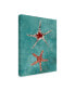 Фото #2 товара Alicia Ludwig Twin Starfish I Canvas Art - 20" x 25"