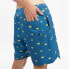 Фото #5 товара HYDROPONIC 16´ Dragon Ball Z Kintoun Swimming Shorts