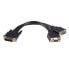 Фото #1 товара StarTech.com 8in LFH 59 Male to Dual Female VGA DMS 59 Cable, 0.2 m, DMS, 2 x VGA (D-Sub), Male, Male, Straight