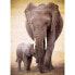 Фото #6 товара Puzzle Der Elefant und Elefantenbaby