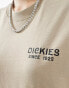 Dickies eagle point short sleeve back print t-shirt in sand- exclusive to asos