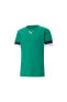 Фото #1 товара Футболка мужская PUMA Teamrise Jersey T-shirt Dry-cell Erkek Tişört