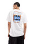 Фото #1 товара The North Face Denali stamp raglan t-shirt in white