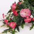Фото #3 товара Искусственные цветы MICA Decorations Petunien Hängepflanze 50 см