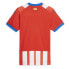 Фото #8 товара PUMA Girona FC 23/24 Short Sleeve T-Shirt Home