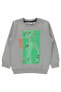 Фото #11 товара Erkek Çocuk Sweatshirt 2-5 Yaş Gri