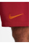 Фото #7 товара Шорты Nike FJ6344-613 GS M NK DF STAD SHORT HM