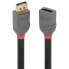 Фото #1 товара LINDY 901751418 2 m DisplayPort Cable