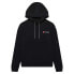 Фото #2 товара BERGHAUS Heritage Small Logo hoodie