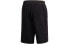 Фото #3 товара Шорты Y-3 Classic Terry Shorts FN3394