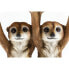 Фото #7 товара Beistelltisch Animal Meerkat Sisters