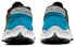 Кроссовки Nike Pegasus Trail 2 CK4309-003