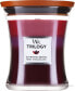 Фото #1 товара Duftkerze im Glas Sun Ripened Berries - WoodWick Hourglass Trilogy Candle Sun Ripened Berries 275 g