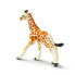 SAFARI LTD Reticulated Giraffe Baby Figure