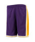 ფოტო #1 პროდუქტის Big Boys Purple Los Angeles Lakers Hardwood Classics Swingman Shorts