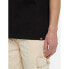 ფოტო #6 პროდუქტის DICKIES Park short sleeve T-shirt