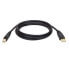 Фото #2 товара Tripp U022-006 USB 2.0 A to B Cable (M/M) - 6 ft. (1.83 m) - 1.8 m - USB A - USB B - USB 2.0 - Male/Male - Black