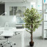 Фото #15 товара Искусственный цветок hjh OFFICE FICUS