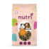 Фото #1 товара NUTRI+ Guinea Pig Mixture Food 650g