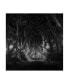 Фото #1 товара Saskia Dingemans The Dark Hedges Bewitched Canvas Art - 20" x 25"