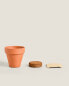 Фото #2 товара Nasturtium flower garden seed pot kit