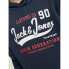 Фото #6 товара JACK & JONES Logo hoodie